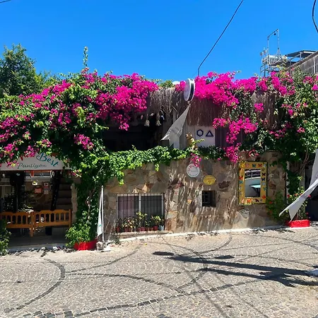 La Viva Otel *